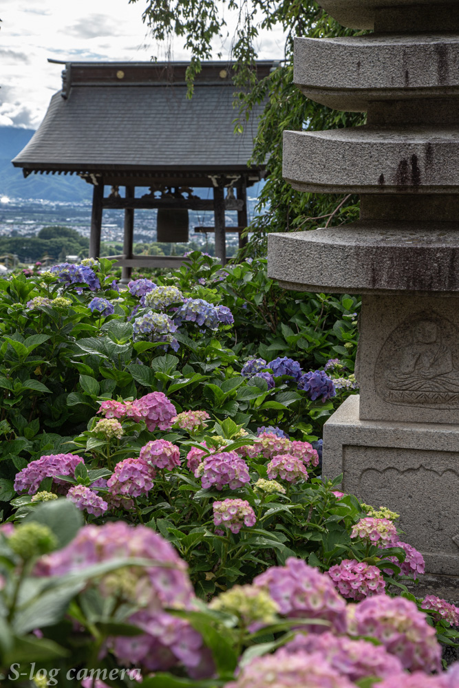 松本市の高台にあるあじさい寺 法船寺で撮影してきた 写真好き男子のカメラブログ 長野県の魅力を伝えたい