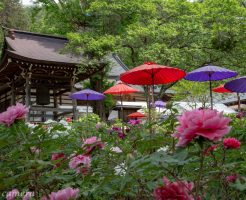 遠照寺