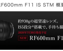 EF 600mm F11 IS STM