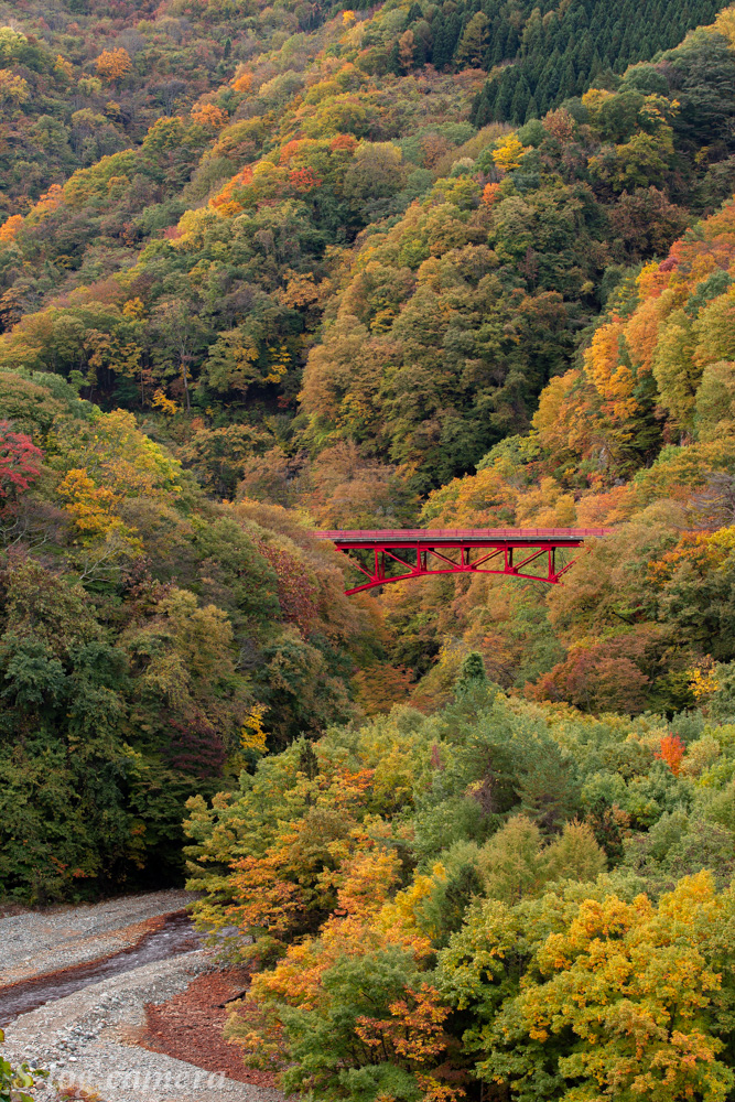 高井橋と紅葉