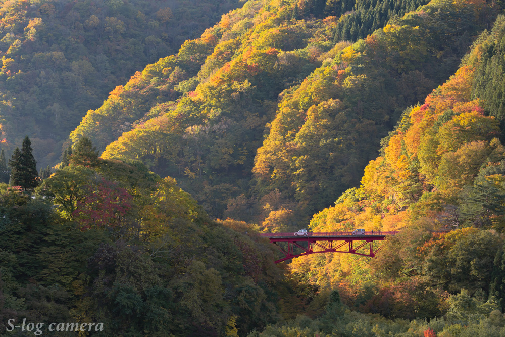 高井橋と紅葉