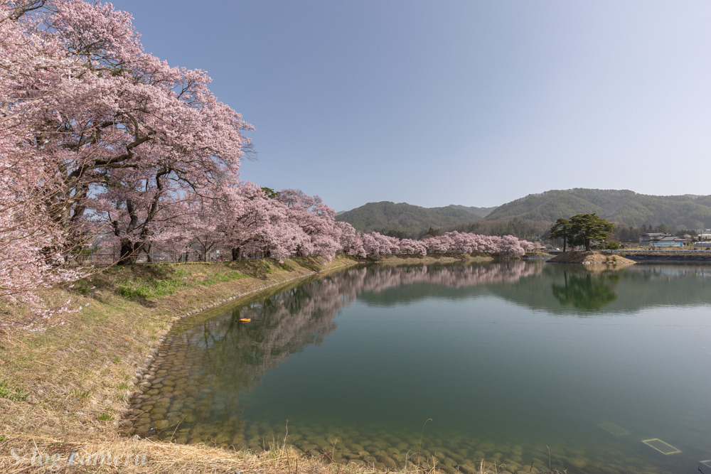 長野県伊那市六道の堤で撮影 高遠城址公園の近くです 写真好き男子のカメラブログ 長野県の魅力を伝えたい