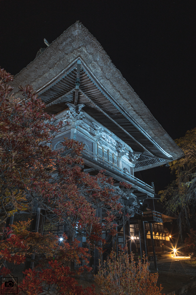 霊松寺紅葉のライトアップ