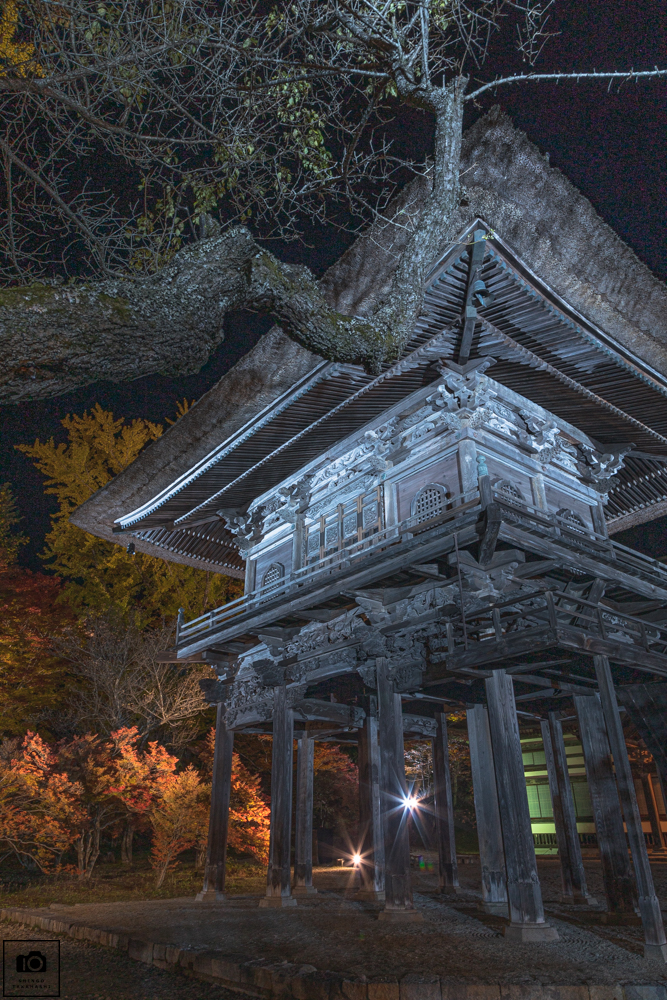 霊松寺紅葉のライトアップ